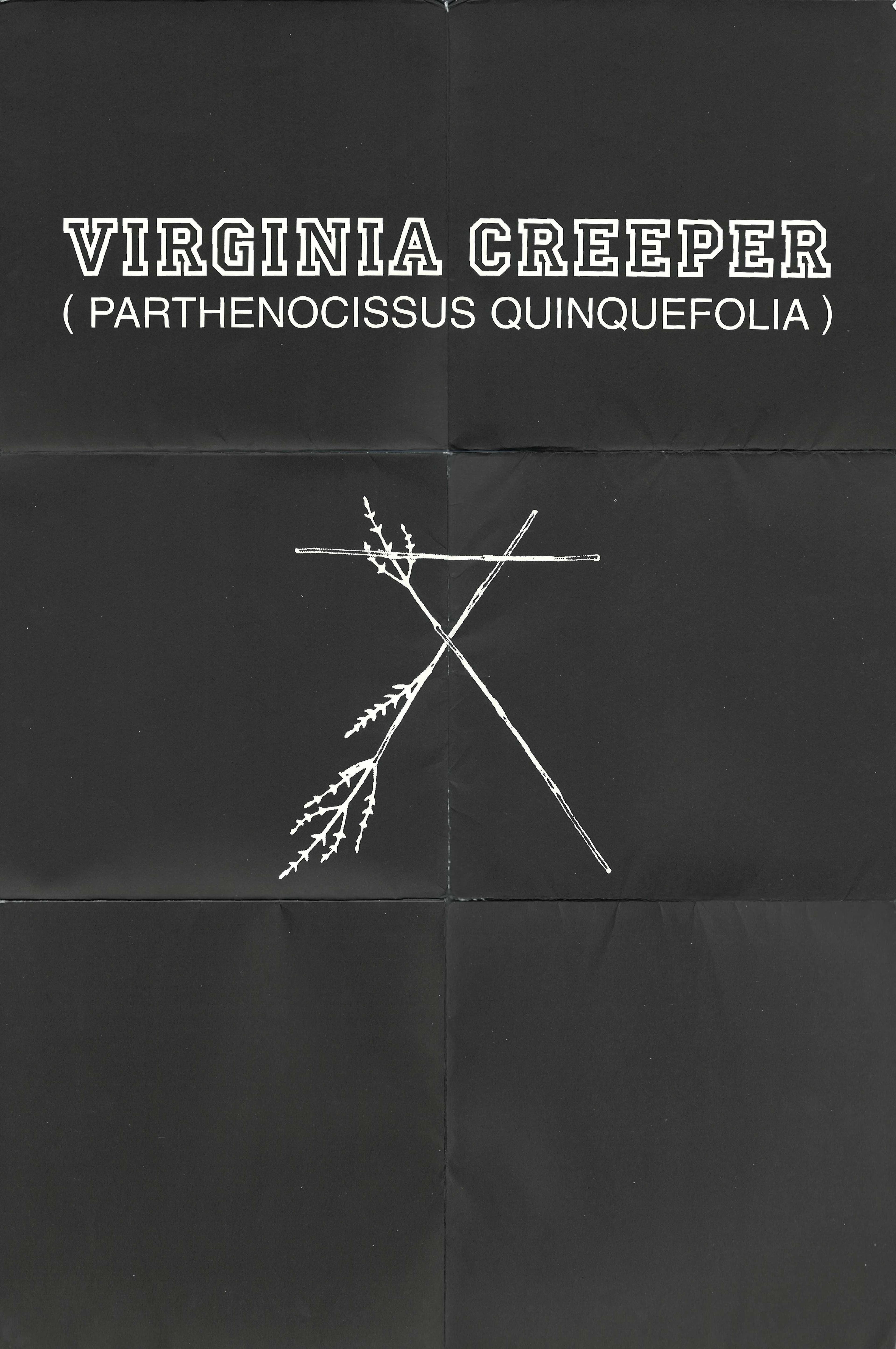 cover photo of 'A/W 2002 'Virginia Creeper' Catalog' by Raf Simons